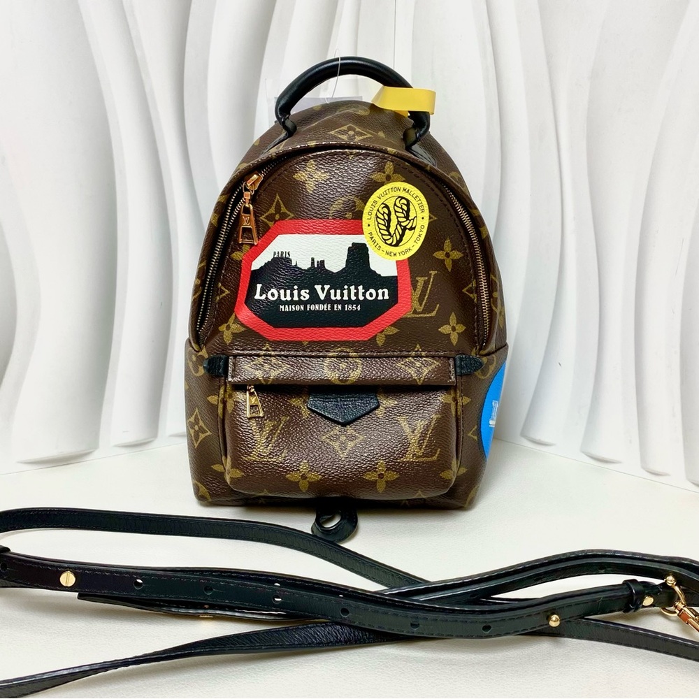 Louis Vuitton Palm Springs Mini Backpack Monogram